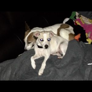 Meet your Posher, Lisa